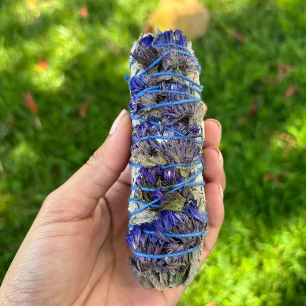 sage stick with blue sinuata flowers for smudging