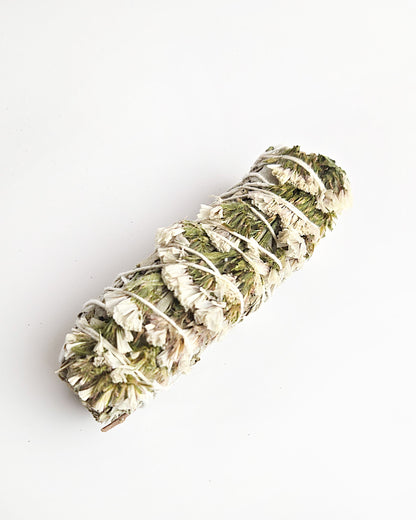 white sinuata flower sage stick for smudging top view